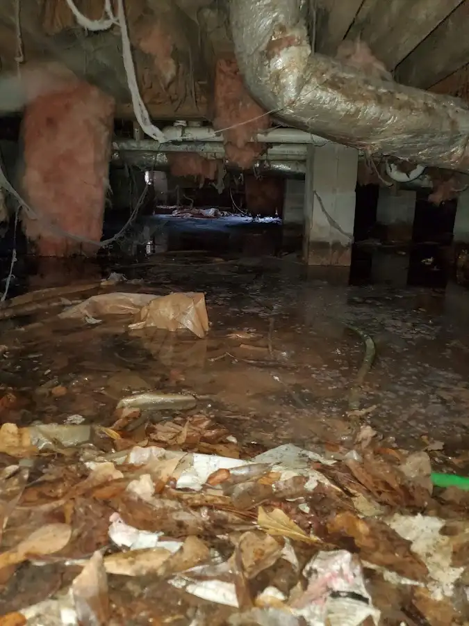 Crawl space flood assessment for Commercial Water Damage Restoration in Linwood