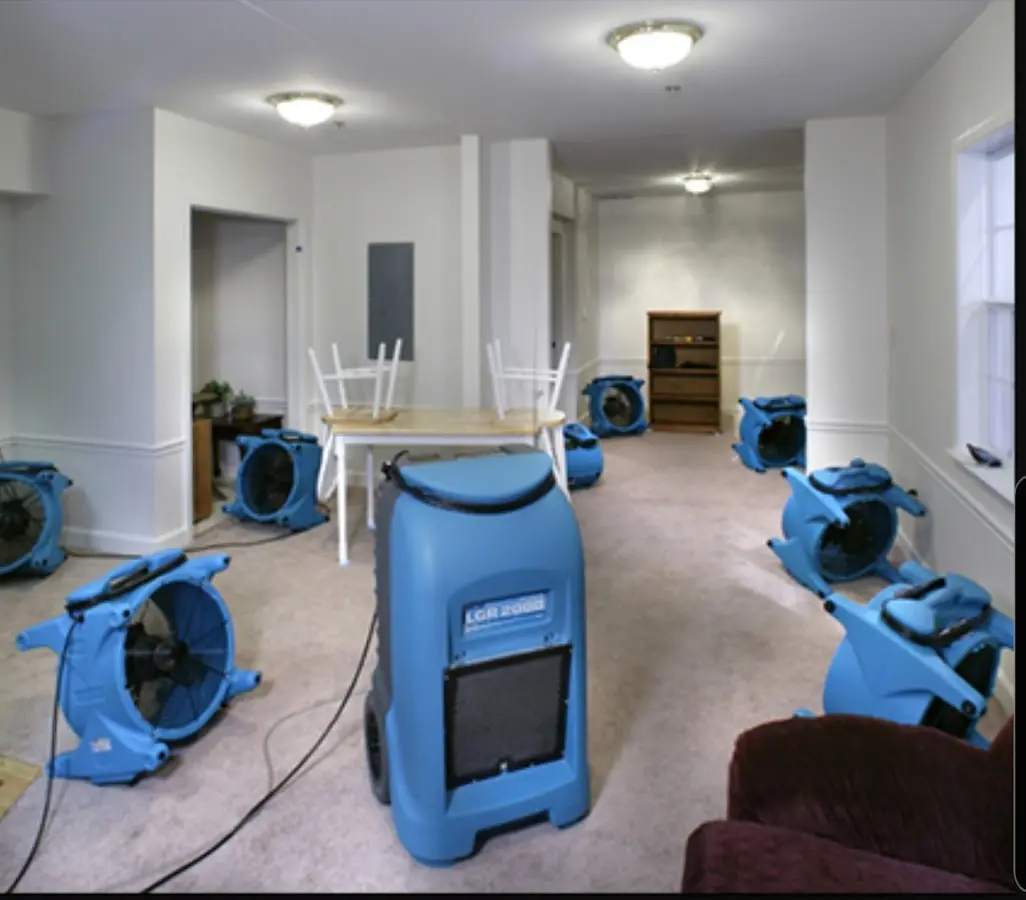 Air movers and dehumidifier setup for Water Extraction & Removal in Linwood