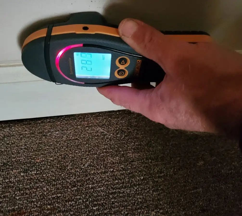 Moisture detection at baseboard during Mold Inspection & Testing in Linwood